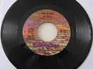 Vonettes  -  Touch My Heart  -  Cobblestone VERY RARE DEMO (Listen)
