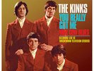 The Kinks You Really Got Me (Live) 7