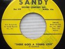 PETER CRAWFORD There Goes A Young Love Dancin With  POPCORN doo-wop 45 e210 HEAR