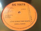 Sowell Radics Love Is What She Wants Rare Killer Roots Nr Mint 12