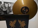 JOEY CAPE and JON SNODGRASS liverbirds Lp COLOR Vinyl , lagwagon drag the river