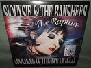 1995 vinyl LP - Siouxsie & the Banshees - The Rapture - O Baby , Stargazer