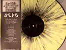 DEVO Live Mabuhay Gardens San Francisco CA 1977 Rare Color vinyl LP Numbered