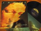 JAMES Gold Mother   ( 1990 FONTANA 848 595-1 VINYL LP)