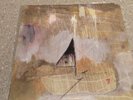 LA DISPUTE Somewhere at the Bottom of the River 2XLP Brown/500 Wildlife Converge