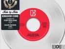 David Bowie/Tom Verlaine RSD Vinyl LP Kingdom Come 7