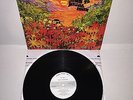 The Hobbits Down To Middle Earth LP DECCA DL 4920 US 1967 White Label Promo MONO