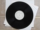 TERRY REID Seed Of Memory 1976 Test Pressing LP