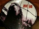 Pearl Jam Vs. Picture Disc Vinyl
