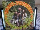 ISRAEL VIBRATION/STRENGTH OF MY LIFE/JA MESSAGE LP