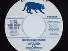 Disco Funk 45 SKIP JACKSON Micro Wave Boogie CATAMOUNT NM HEAR