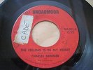 CHARLES BRIMMER-Mr Teardrops/The feeling is in my heart 45 SOUL FUNK RARE