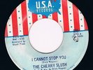 CHERRY SLUSH i cannot stop you HEAR 60s GARAGE beat MOD psych