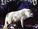 Unchain The Wolves - Destroyer 666 (2015, Vinyl New)