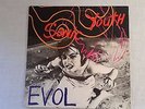 Sonic Youth 'Evol'