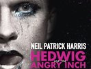 Hedwig And The Angry Inch Vinyl RSD 2015 Pre-order
