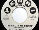 TOPICS aka FOUR SEASONS 45 Girl In My Dreams NEAR MINT one sided DOO WOP cc980