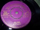 Elvis Presley - Blue Moon 7