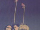Gun Club - Miami [Vinyl New]