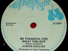 JUNIOR ENGLISH REGGAE 45 Roots Soul Dub Lovers ETHNIC FIGHT 7