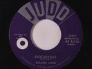 ROLAND JAMES: Guitarville / Patriotic Guitar 45 (tol) rare Oldies