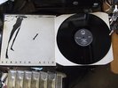 1986 Scratch Acid Self Titled LP Rabid Cat Fundamental Records Holy 1