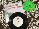 Algernon Cadwallader - Fun. 7 inch RARE OOP Snowing Coping Emo