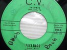 COURIERS Feelings b/w Stomping Time Again GARAGE ROCK C.V Records 45 e101 HEAR