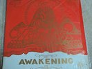 The Pharaohs Awakening