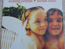 Smashing Pumpkins  - siamese dream - original 2x LP  1993