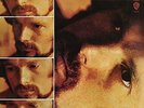 VAN MORRISON 