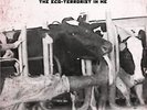 RSD 2015 Rise Against The Eco-Terrorist In Me 7