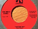 7” Medium Rare -Nagasaki/Nature Boy- Modern Funk Sweet Soul Boogie Disco 45