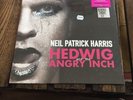 Niel Patrick Harris Hedwig And The Angry Inch 12