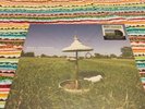 Real Friends More Acoustic Songs EP Picture Disc Sealed Rare RSD