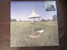 REAL FRIENDS - MORE ACOUSTIC SONGS EP- Picture Disc - Limited Edition - RSD 2015
