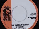 Crossover/Deep Soul 45 MINITS Take A Look At Yourself MGM NM HEAR
