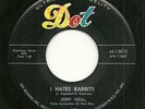Rockabilly 45 - Jerry Neal Dot 15810 