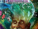 AMORPHOUS ANDROGYNOUS - Wizards Of Oz - 2LP - 2015 RSD Record Store Day