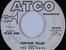 Northern R&B Mod Soul 45 DEL-RAYS Fortune Teller ATCO HEAR