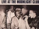 SPECIALS, The - The Specials Live At The Moonlight Club - LP