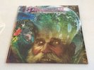 AMORPHOUS ANDROGYNOUS - Wizards Of Oz - 2LP - 2015 RSD Record Store Day