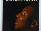 Muddy Waters 