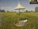 Real Friends More Acoustic Songs Picture Pic Disc Vinyl RSD 2015 Modern Baseball