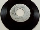 RARE 1967 FLORIDA GARAGE 45 / CANADIAN ROGUES /PARIS TOWER 112 /RUN & HIDE /HEAR