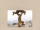 Shellac - Dude Incredible
