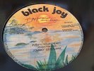 Johnny Osbourne Purify Your Heart Rare Killer Roots 12