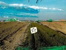 TEMPELHOF & GIGI MASIN Hoshi LP NEW VINYL Hell Yeah Leon Lowman Music From Memo