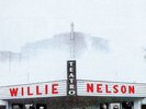 077 LP WILLIE NELSON TEATRO *LIMITED EDITION* RSD 2015