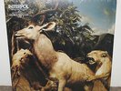 INTERPOL Our Love To Admire, Capitol double vinyl LP, 2007, VG+/EX, shrink, rare